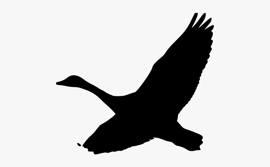 2008 07 25 Geese Over - Clip Art Goose Silhouette, HD Png Download, Free Download