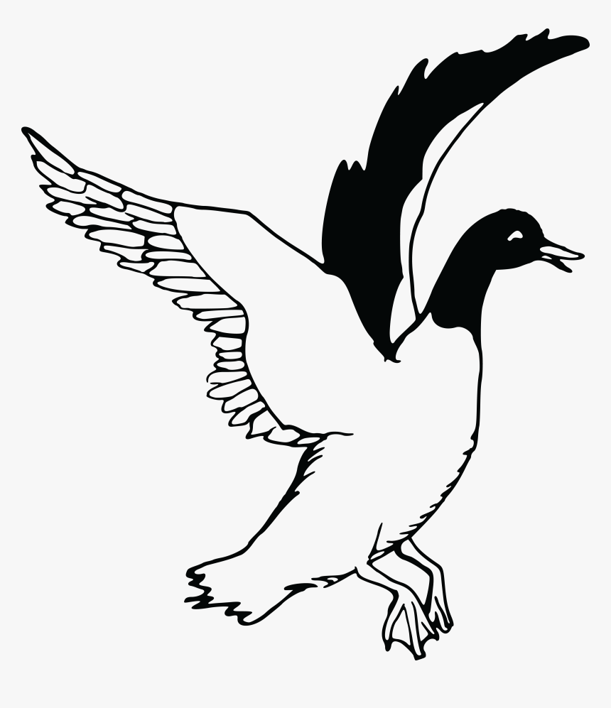 Flying Drawing At Getdrawings - Flying Duck Clipart Black And White, HD Png Download, Free Download