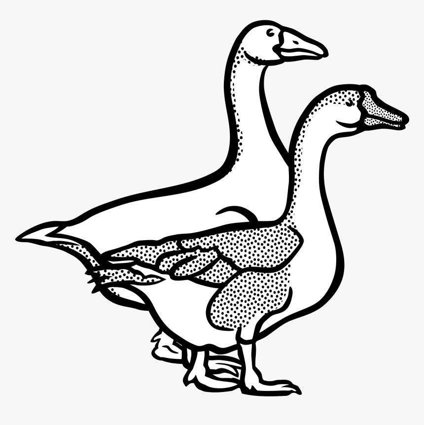 This Free Icons Png Design Of Geese - Goose Black And White, Transparent Png, Free Download