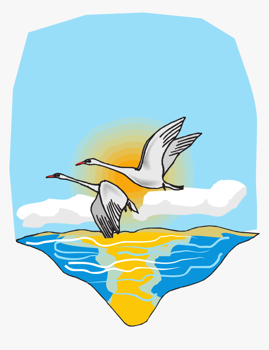 Birds Flying Over The Sea Clipart, HD Png Download, Free Download