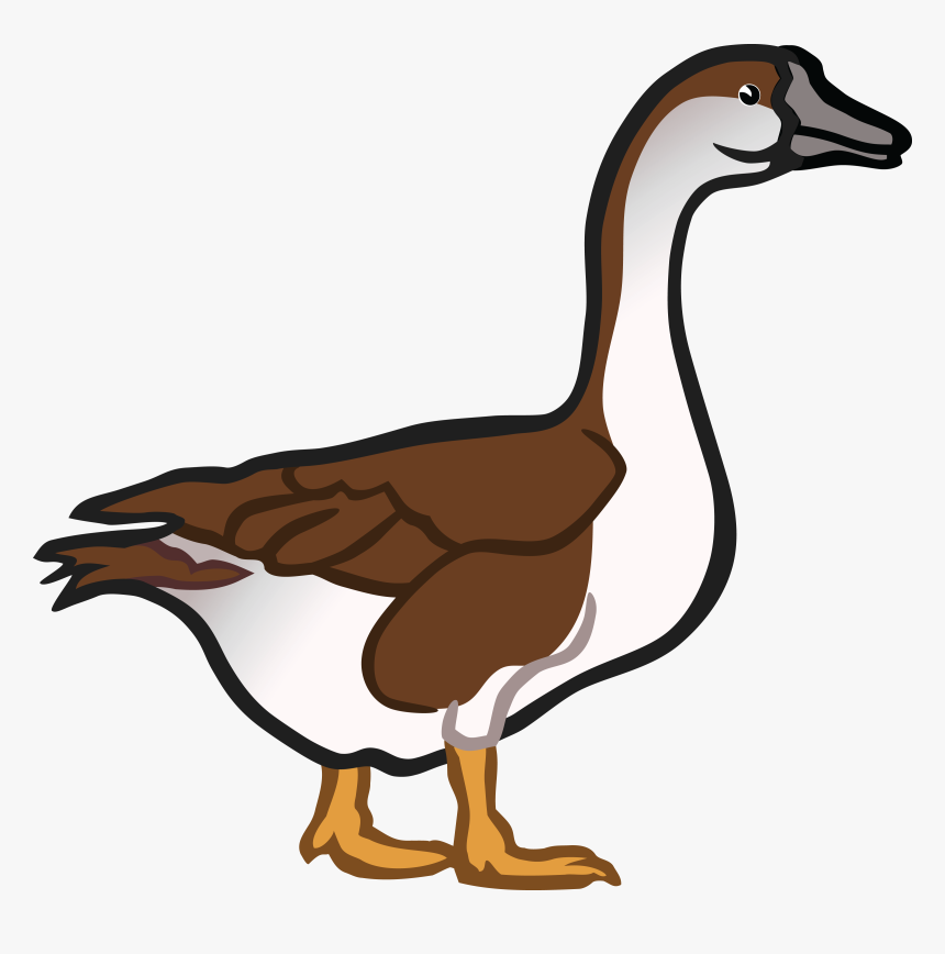 Free Clipart Of A Goose - Singular And Plural Duck, HD Png Download, Free Download