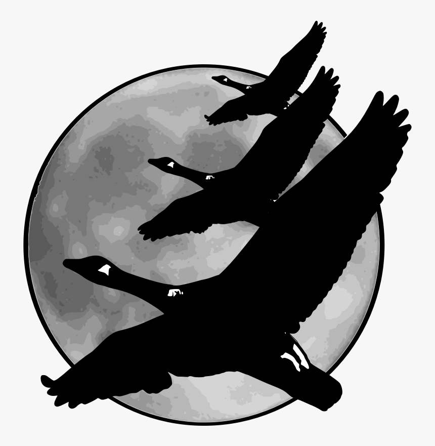 Geese In Front Of Moon - Geese In Front Of Moon Png, Transparent Png, Free Download