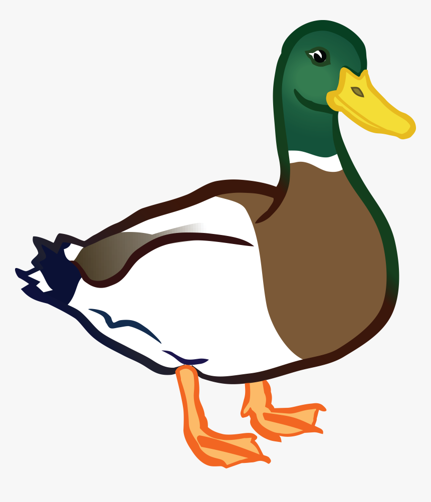 Duck Clipart Free, HD Png Download, Free Download