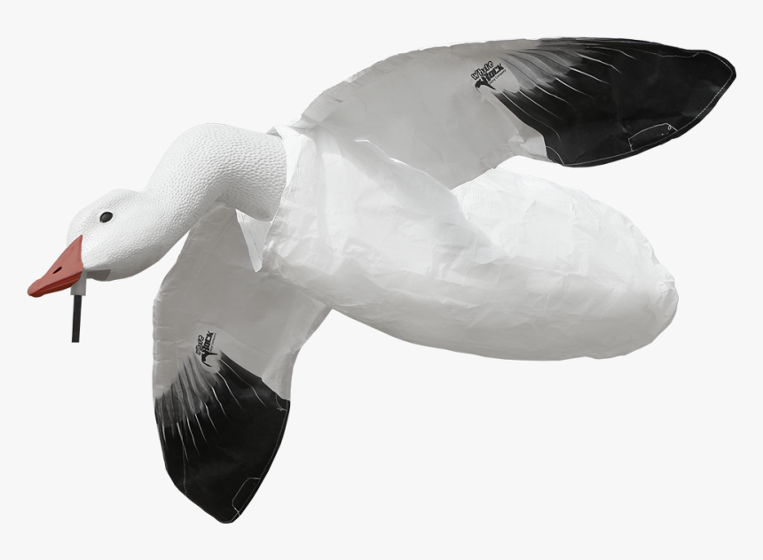 Decoy Duck White, HD Png Download, Free Download