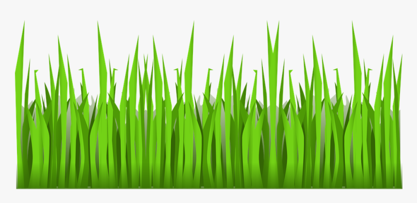 Sea Grass Clipart Turtle Habitat - Transparent Background Grass Cartoon, HD Png Download, Free Download