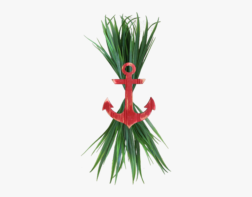 Heliconia, HD Png Download, Free Download