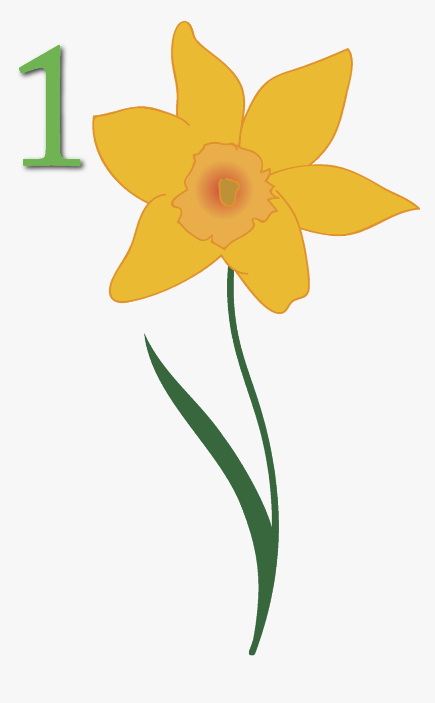 Daffodil Clipart April - Narcissus, HD Png Download, Free Download