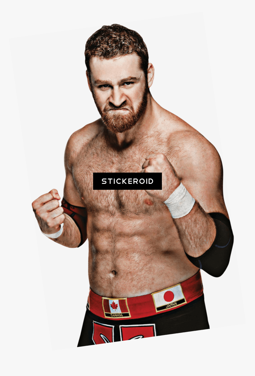 Jada Toys Wwe Wrestling Nano Metalfigs Sami Zayn Diecast - Wwe Sami Zayn Png, Transparent Png, Free Download