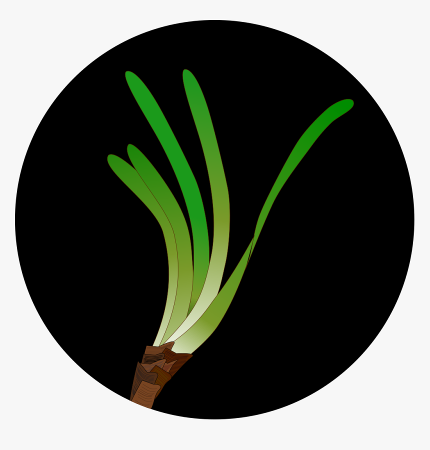 Seagrass Icon, HD Png Download, Free Download