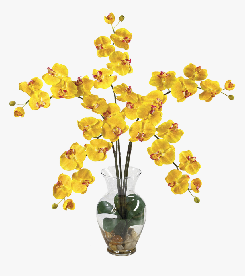 Flower,cut Orchid,orchid,plant Stem,flowering Flower - Flowers In Vase .png, Transparent Png, Free Download