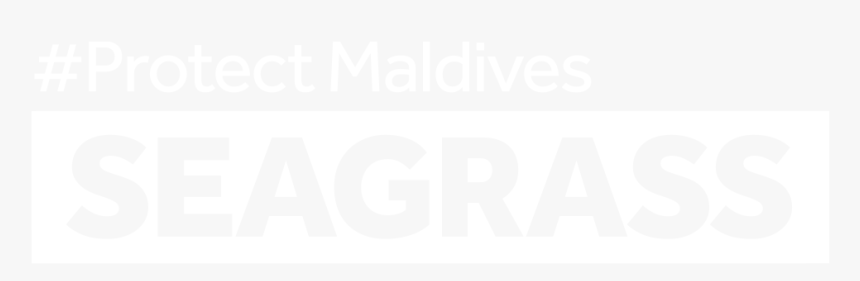 Protect Maldives Seagrass ~ - Abacus Emedia, HD Png Download, Free Download