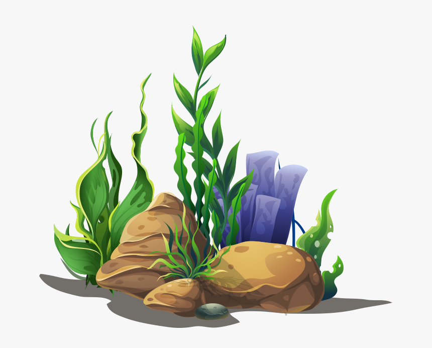 Transparent Office Plant Png - Seaweed Clipart Png, Png Download, Free Download