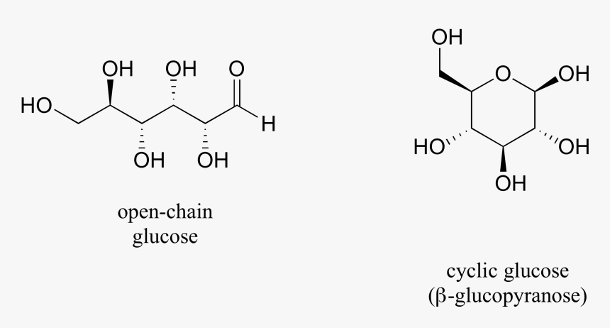 One Thing That You Should Notice In The Cyclic Structure - Structure, HD Png Download, Free Download