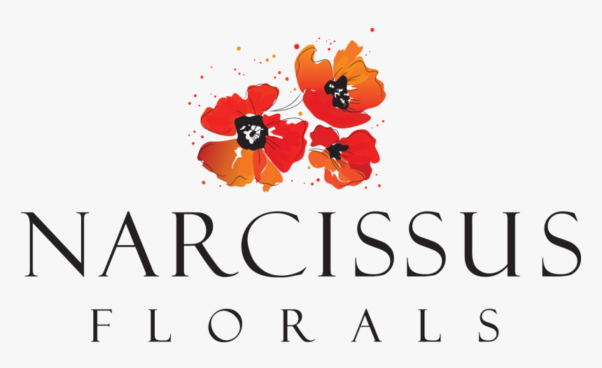 Transparent Florals Png - Narcissus Florals, Png Download, Free Download