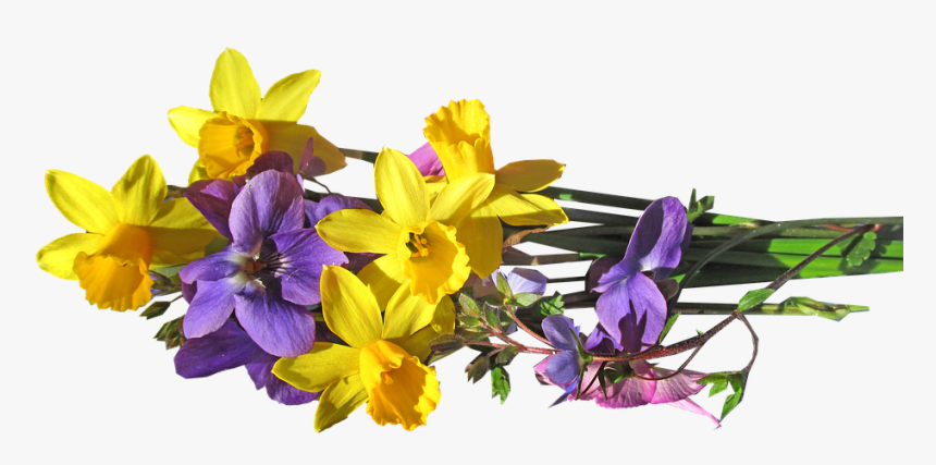 Transparent Group Of Flowers Clipart - Yellow Purple Flowers Png, Png Download, Free Download