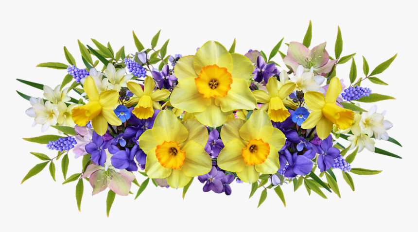 Flowers, Spring, Daffodils, Violets, Arrangement - Narcissus, HD Png Download, Free Download