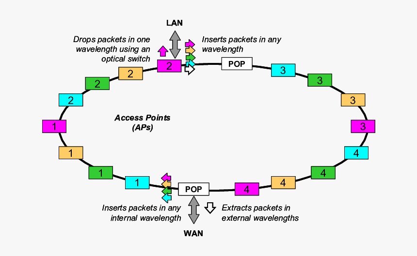 Diagram, HD Png Download, Free Download