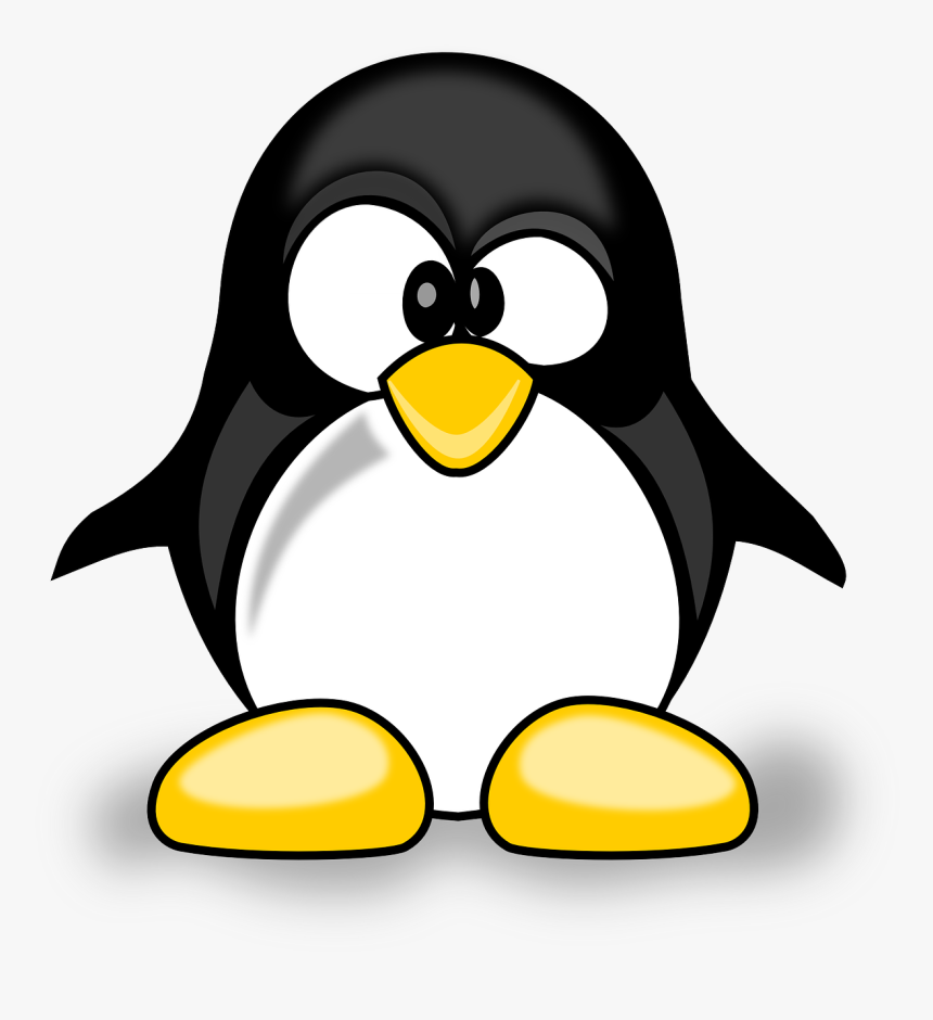 Animal, Cute, Penguin, Tux - Penguin Tux, HD Png Download, Free Download
