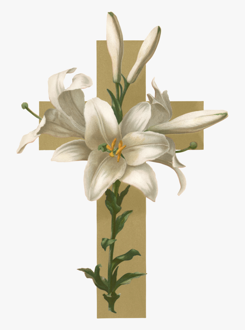 Transparent Easter Lily Png - Flowers For Funeral Programs, Png Download, Free Download