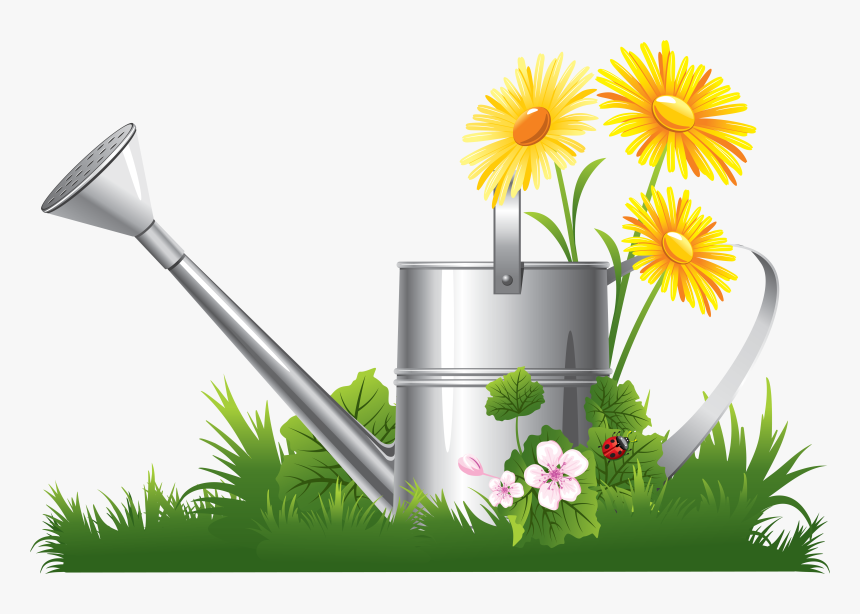 Chamomile Clip Art - Spring Clipart Png, Transparent Png, Free Download