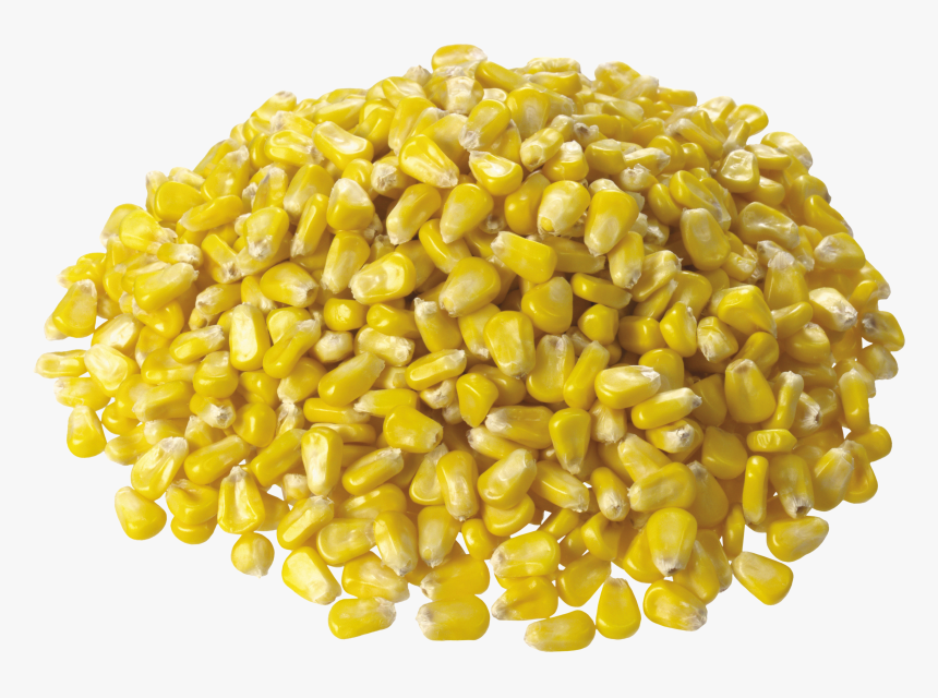 Corn - Corn Png, Transparent Png, Free Download
