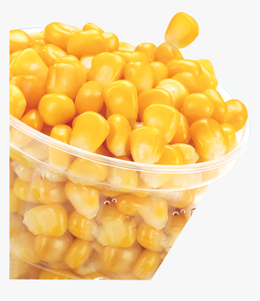 Transparent Corn Kernel Clipart - Sweet Corn Image Png, Png Download, Free Download