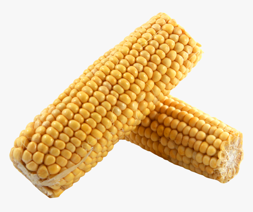 Corn Png Image - Dent Corn Png, Transparent Png, Free Download