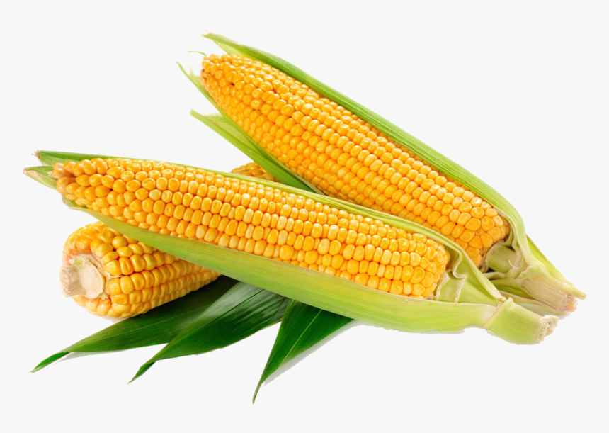 Waxy Corn Vegetable Crop Food Sweet Corn, HD Png Download, Free Download