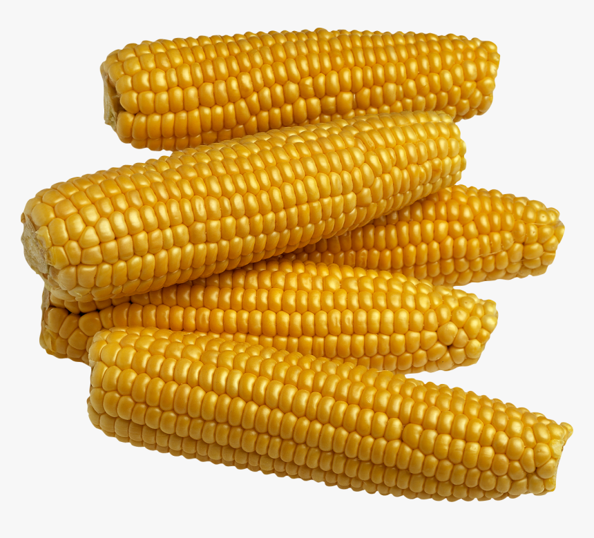 Corn Kernels,corn On The Cob,sweet On The Cob,produce,food - Pulses Meaning In Malayalam, HD Png Download, Free Download