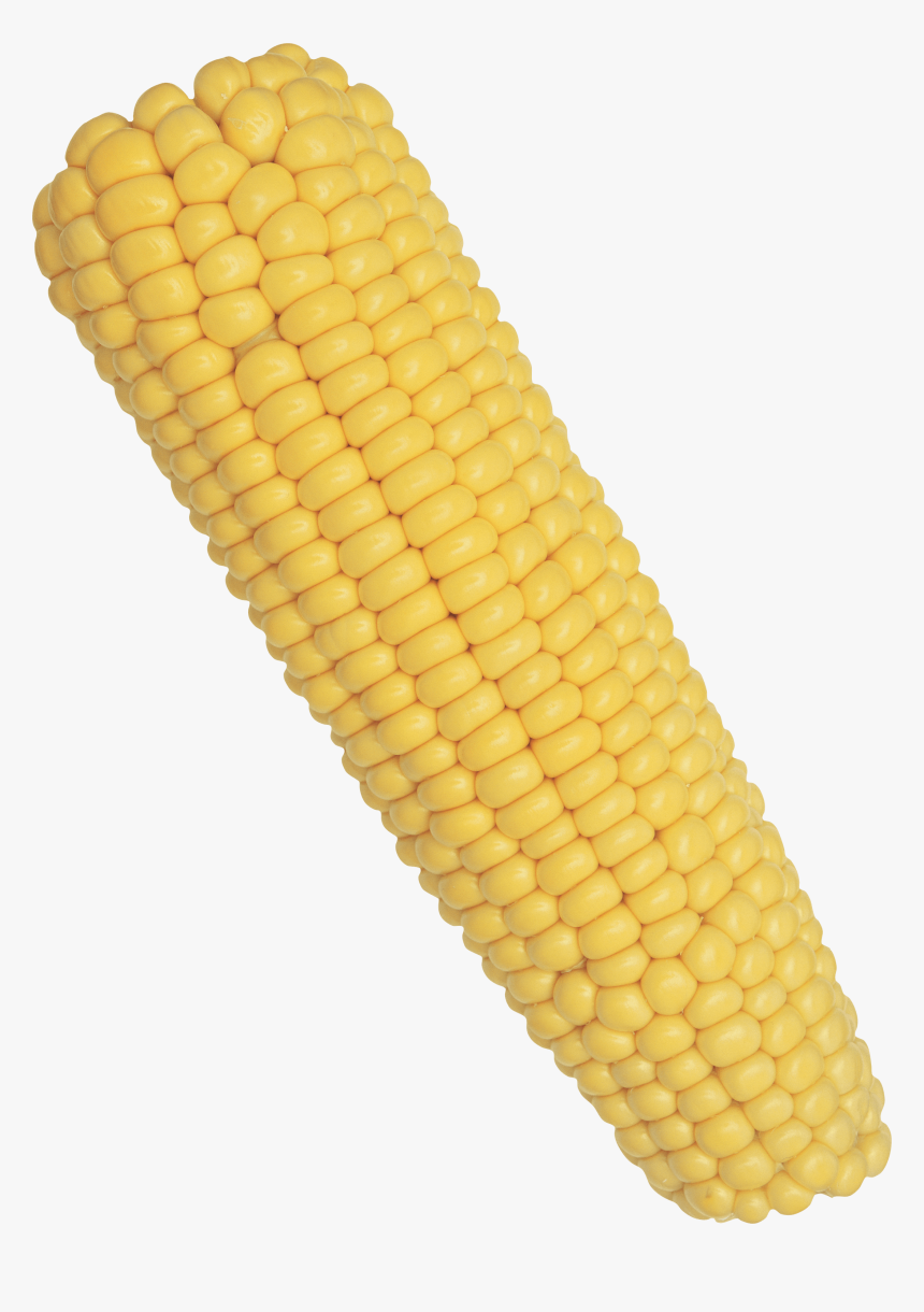 Corn Solo - Corn Transparent, HD Png Download, Free Download