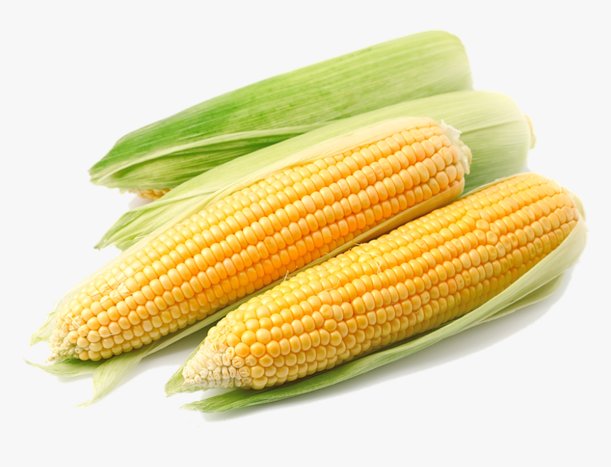 Corn Png Transparent Background, Png Download, Free Download