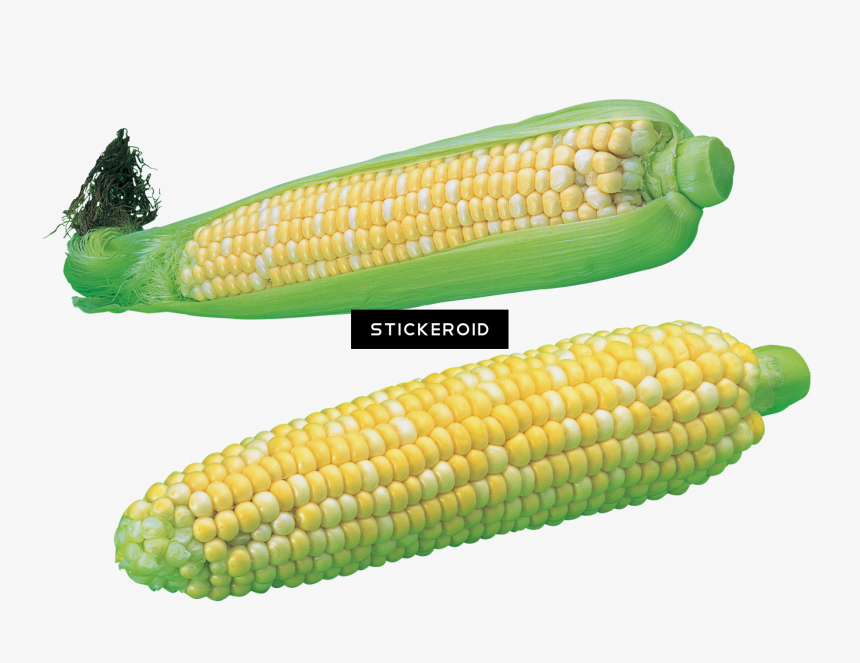 Corn Kernels , Png Download - Maize, Transparent Png, Free Download