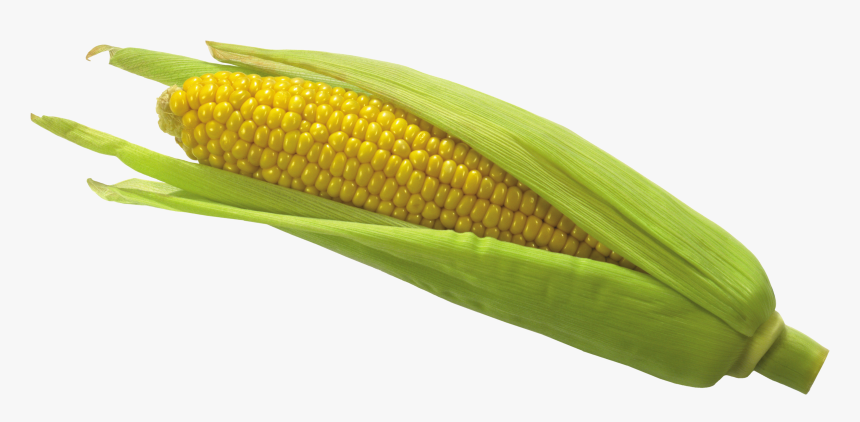 Kernel Clipart Corn Seed - Corn Png, Transparent Png, Free Download