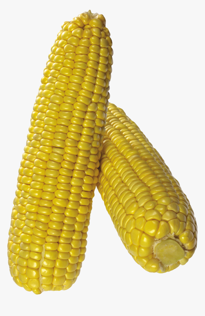 Png Corn Cob, Transparent Png, Free Download