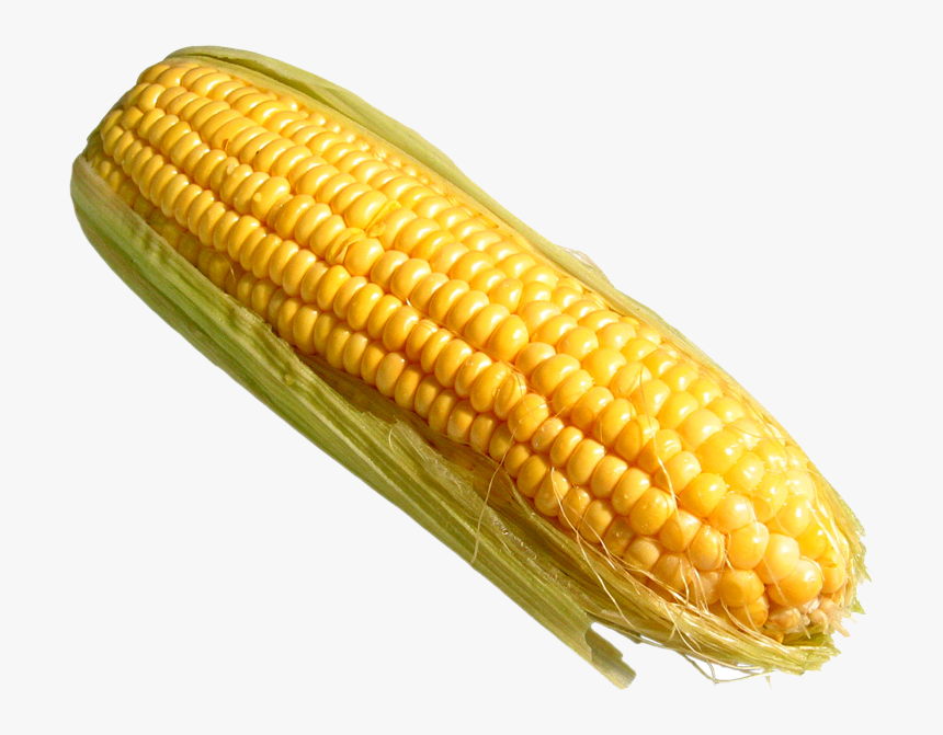 Corn On The Cob Png - Corn Transparent, Png Download, Free Download