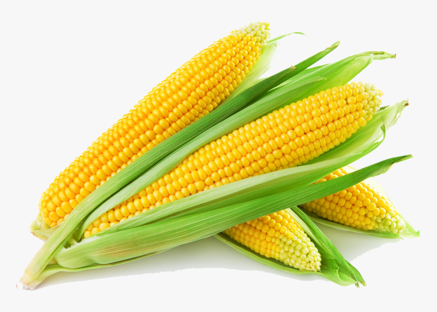 Download Sweet Corn - Corn Png, Transparent Png, Free Download