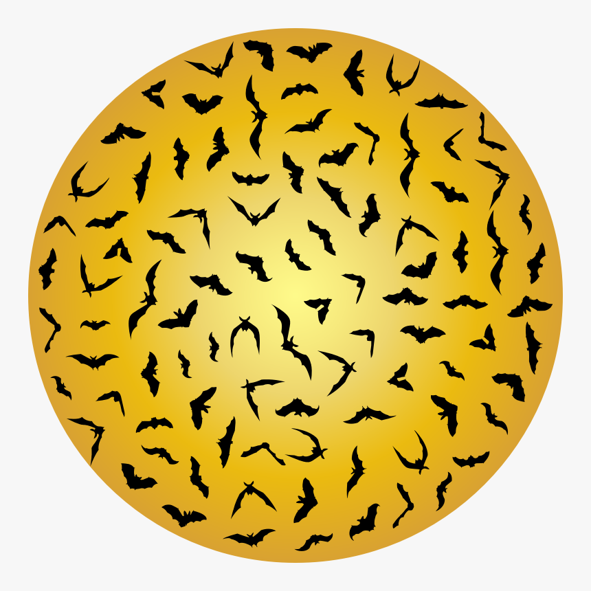 Circle, HD Png Download, Free Download