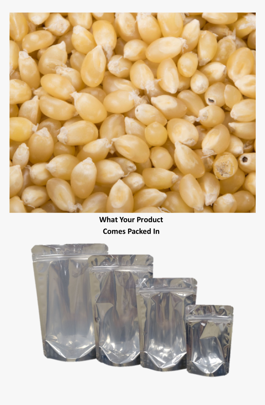 Amish Country Baby White Popcorn Kernels, HD Png Download, Free Download