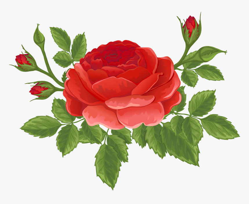 Flower Bud Png, Transparent Png, Free Download