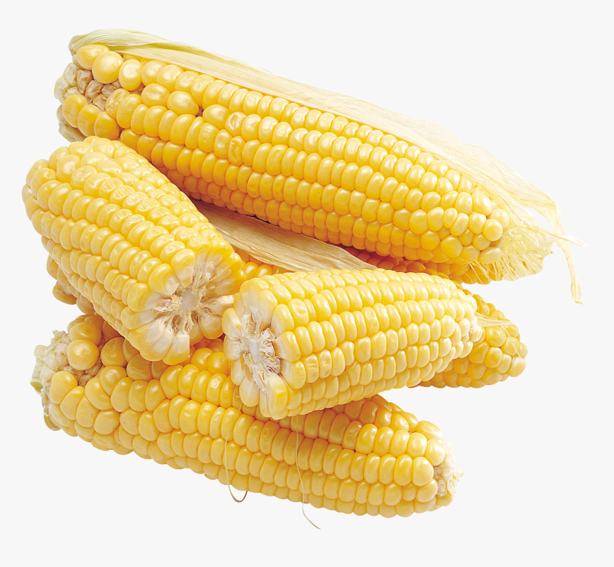 Corn Png Image, Transparent Png, Free Download