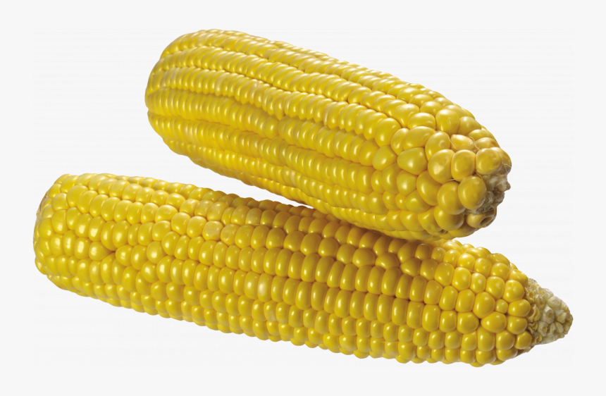 Grab And Download Corn Transparent Png Image - Corn Transparent Background, Png Download, Free Download