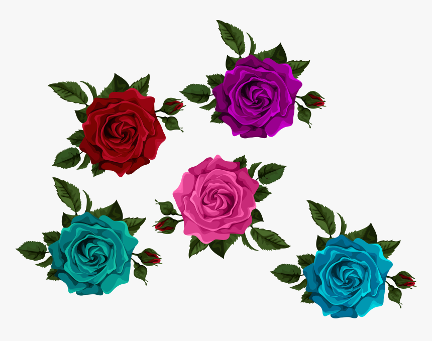 Colorful Roses With Transparent Transparent Background - Colorful Roses Clip Art, HD Png Download, Free Download