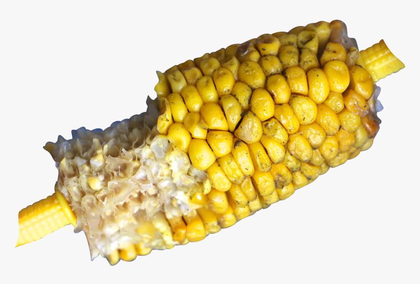 Eaten Corn Om The Cob, HD Png Download, Free Download