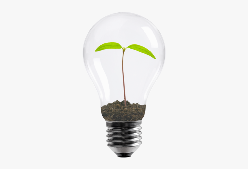 Bulb, HD Png Download, Free Download