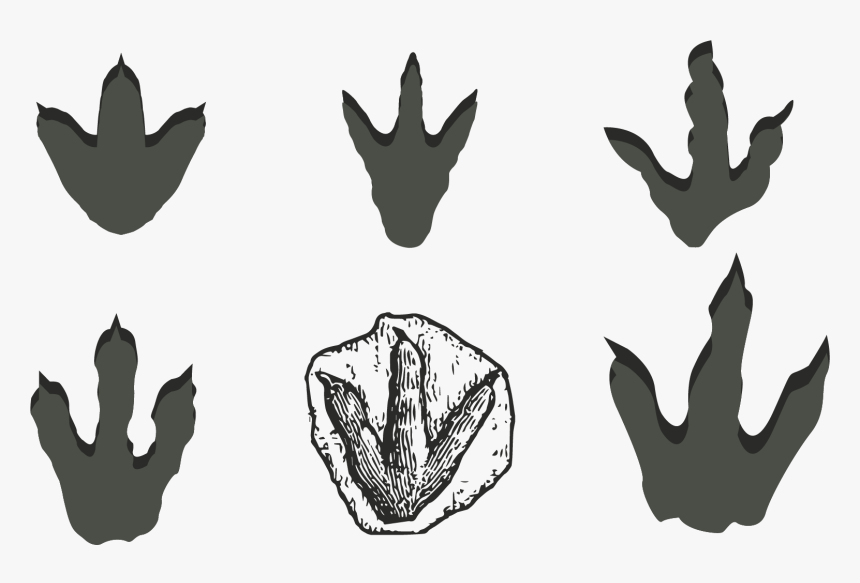 Dinosaur Footprints Reservation Stegosaurus - Dinosaur Footprint Clipart, HD Png Download, Free Download