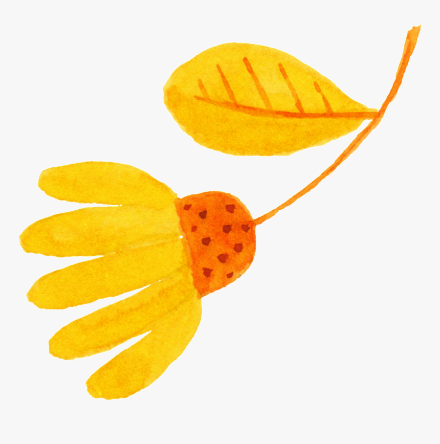 Transparent Flower Bud Png - Pedicel, Png Download, Free Download