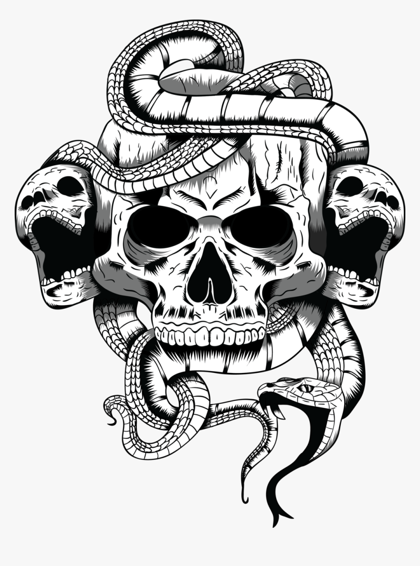 Skull Art Png - Skull And Snake Png, Transparent Png, Free Download