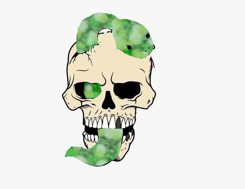 Skull, HD Png Download, Free Download