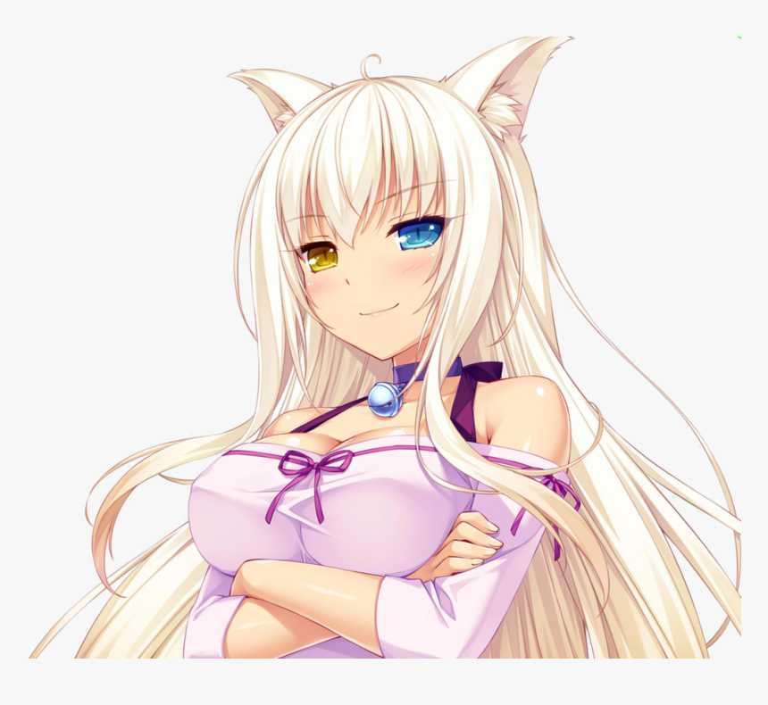 541 - Nekopara Coconut, HD Png Download, Free Download