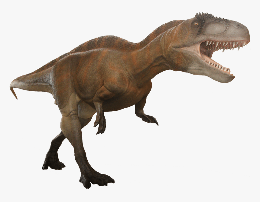 Acrocanthosaurus Png, Transparent Png, Free Download